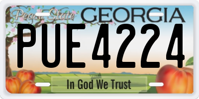 GA license plate PUE4224
