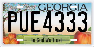 GA license plate PUE4333