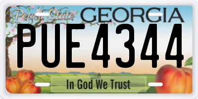 GA license plate PUE4344