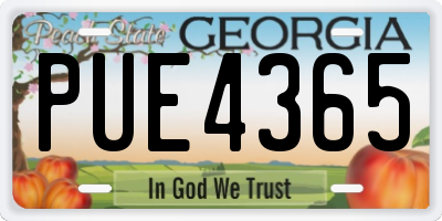 GA license plate PUE4365