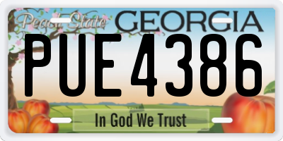 GA license plate PUE4386