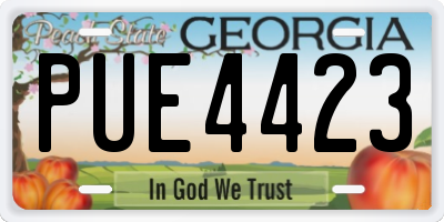 GA license plate PUE4423