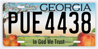 GA license plate PUE4438