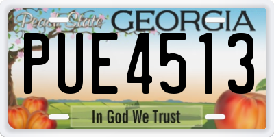 GA license plate PUE4513