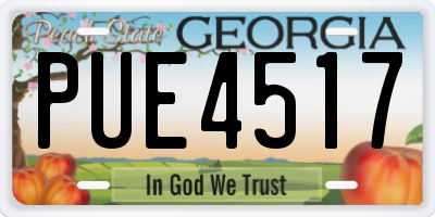 GA license plate PUE4517