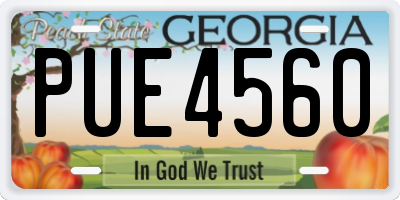 GA license plate PUE4560