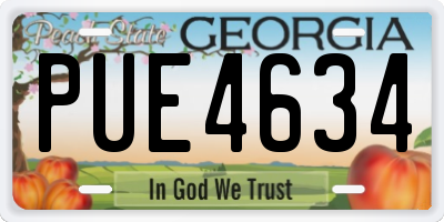 GA license plate PUE4634