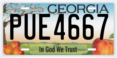 GA license plate PUE4667