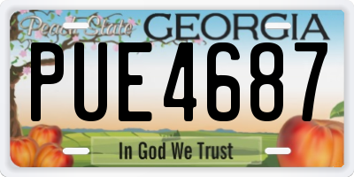 GA license plate PUE4687