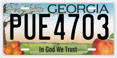 GA license plate PUE4703