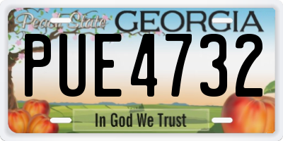 GA license plate PUE4732