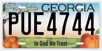 GA license plate PUE4744