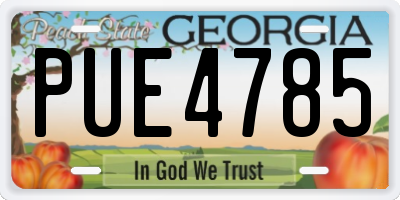 GA license plate PUE4785