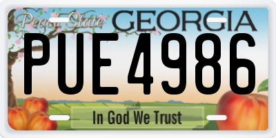 GA license plate PUE4986