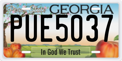 GA license plate PUE5037
