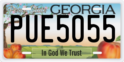 GA license plate PUE5055