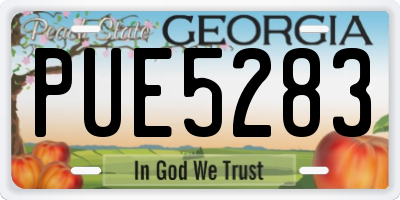 GA license plate PUE5283