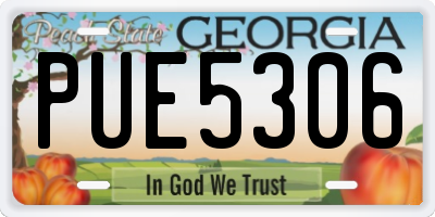 GA license plate PUE5306