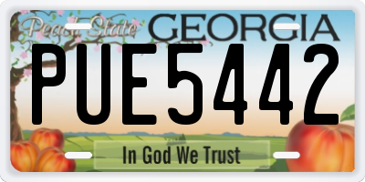 GA license plate PUE5442
