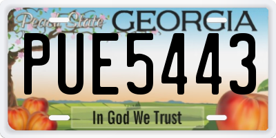 GA license plate PUE5443