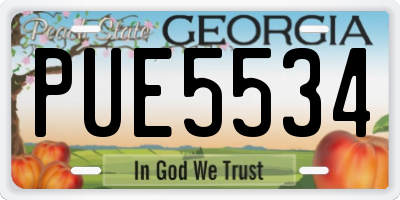 GA license plate PUE5534