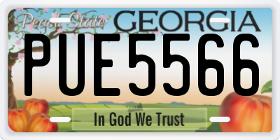 GA license plate PUE5566