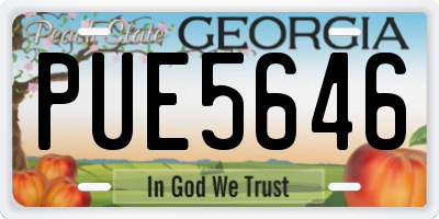 GA license plate PUE5646