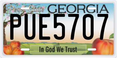 GA license plate PUE5707