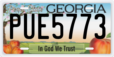 GA license plate PUE5773