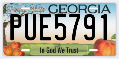 GA license plate PUE5791
