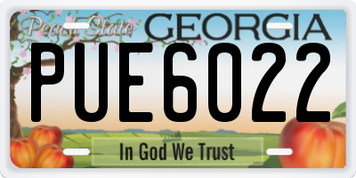 GA license plate PUE6022
