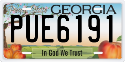 GA license plate PUE6191