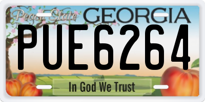GA license plate PUE6264