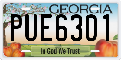 GA license plate PUE6301