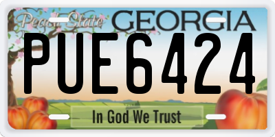 GA license plate PUE6424