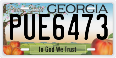GA license plate PUE6473
