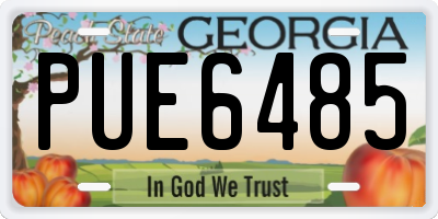 GA license plate PUE6485