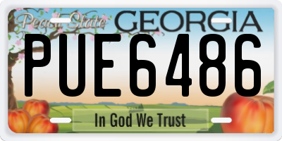 GA license plate PUE6486