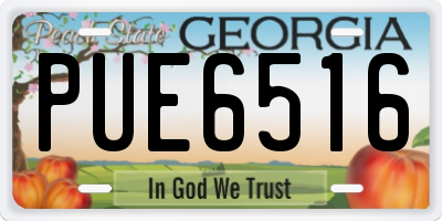 GA license plate PUE6516