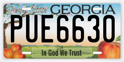 GA license plate PUE6630