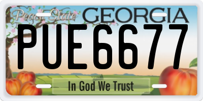 GA license plate PUE6677