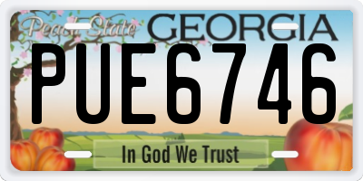 GA license plate PUE6746