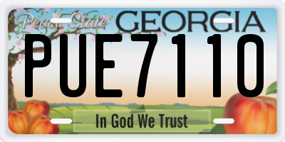 GA license plate PUE7110