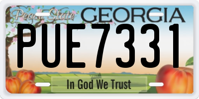 GA license plate PUE7331