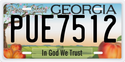 GA license plate PUE7512