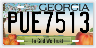 GA license plate PUE7513