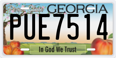 GA license plate PUE7514