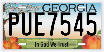 GA license plate PUE7545