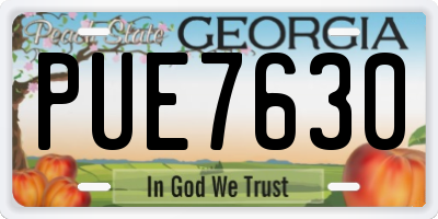 GA license plate PUE7630