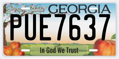 GA license plate PUE7637